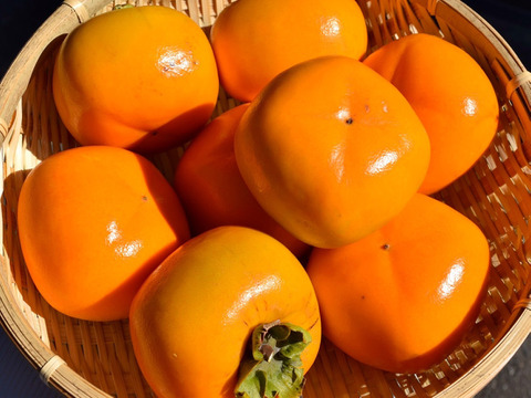 【樹上完熟】南国土佐 完熟蜜柿３ｋｇ（１５～１９玉）ご家庭用 農薬不使用 自然栽培 四万十産