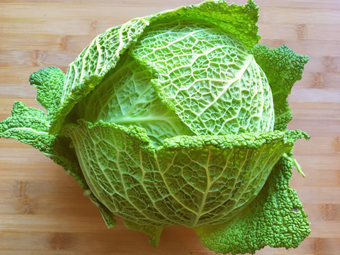 冬の定番！【京都産】　サボイキャベツ　２玉（約１kg）