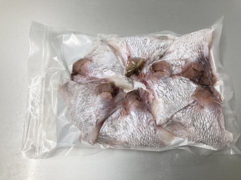 【早いもの勝ち‼10セット限定】希少部位!!漁師おすすめ!!真鯛のカマ【大容量お買い得！】1Kg