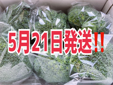新鮮ブロッコリーを5〜6株入れてお届け‼️