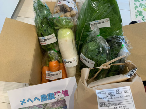 自然栽培米はたはったん2kgと野菜セット