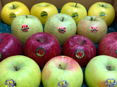 ★11月中旬発送★【みんなで食べ比べ🍎】おまかせりんご家庭用10kg（28~40玉）
