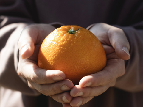プリプリの大粒果肉【伊予柑 3kg】愛媛県産 家庭用