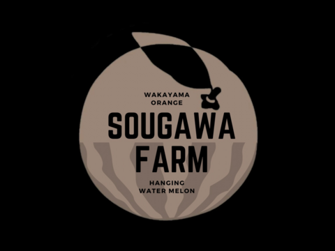 【夏ギフト】贅沢な甘さとシャリ感『空中育ちの大玉すいか』６kg　１玉