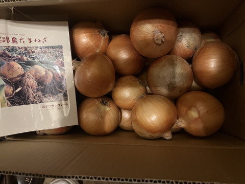 【10kg】淡路島産たまねぎ 特別栽培 兵庫県認証食品 ひょうご安心ブランド 特別栽培 あさひサンファーム グループ購入 飲食店様 南あわじ市 淡路島産たまねぎ レシピ付き！