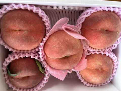 まるせい果樹園の桃『あかつき』1.6㎏　化粧箱　(5～7玉入り)  ma1