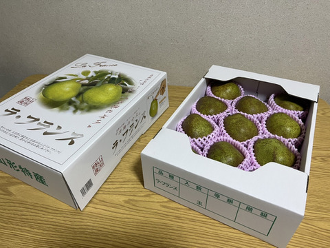 ラフランス　贈答品　山形県天童市産