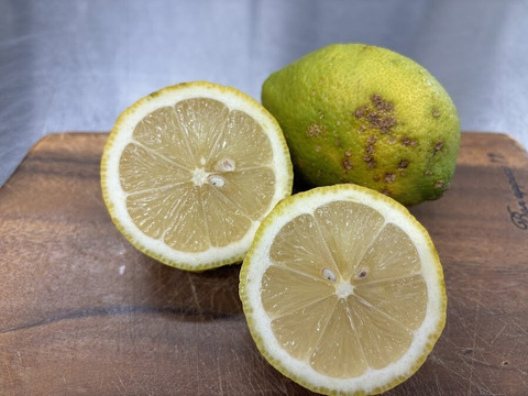 訳ありレモン　傷があっても美味しいです！！2ｋｇ