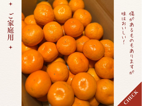 【ゆら早生】箱込み3キロ　Sサイズ 家庭用　有田みかん　極早生　低農【冬ギフト】