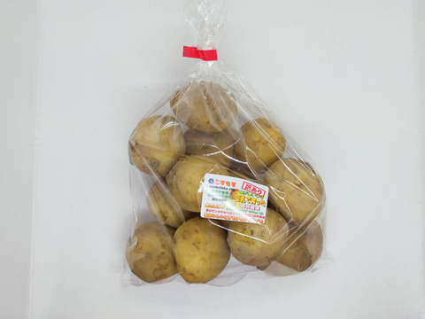 《訳あり格安》豆乳で育ったおいしいジャガイモ キタアカリ(1kg)