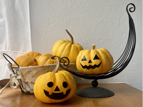 🎁じゃがいも2種500gずつのプレゼント🎁プッチィーニ4個のかぼちゃセット🎃栽培期間中農薬不使用・レンジ調理可のレシピ付き“インカのめざめ・インカのひとみ”は平均糖度超え