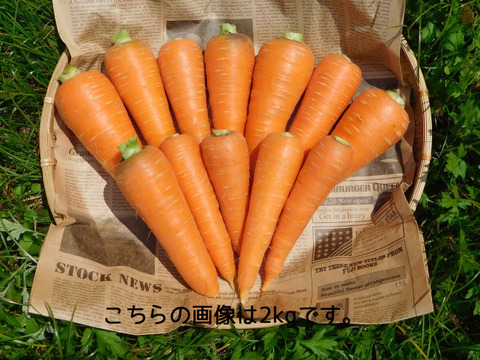 【数量限定】大分県産人参5kg（規格外のＢ品も含む無選別品・栽培期間中農薬、化学肥料不使用）