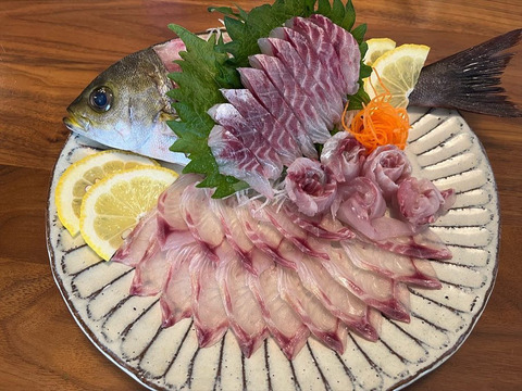 愛知，日間賀島産 《魚セット》大盛り，4人で贅沢コース 4Kg±
~宝の海で採れた鮮魚を発送致します~
鮮魚BOX