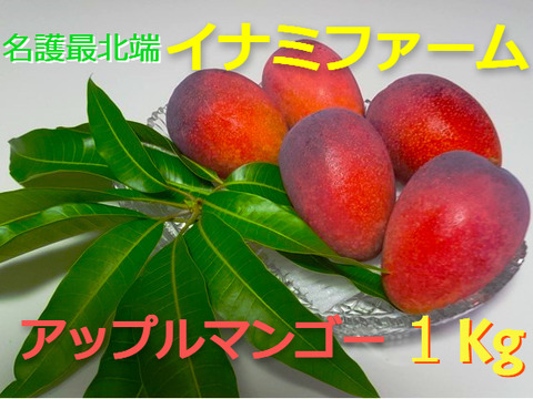 ≪優品≫名護市最北端 イナミファームの アップルマンゴー １ｋg