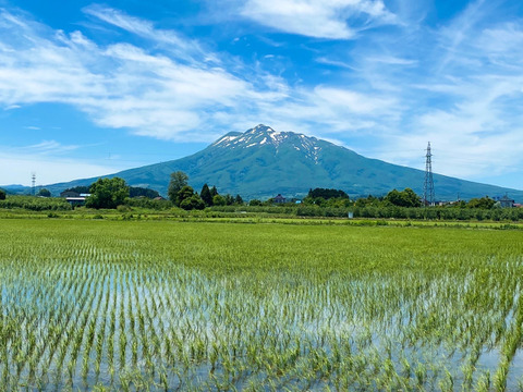 ”特別栽培米”青天の霹靂【農薬、化学肥料５０％減】白米５kg
