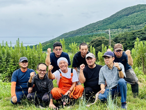 人に自然にやさしいたまご「えぼし姫」20個入り