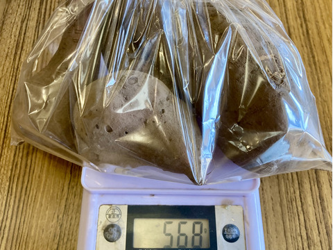 ねっとり濃厚密芋！！【安納芋約３キロ】