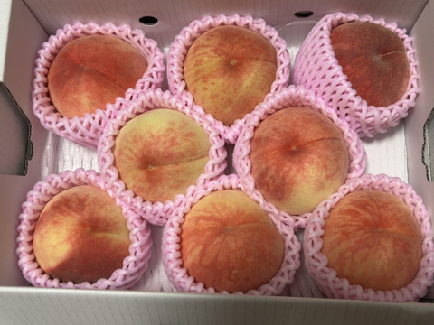 お買い得!まるせい果樹園の桃　中生種【おまかせ】2kg(6～11玉入り)自家用　贈答用  om2