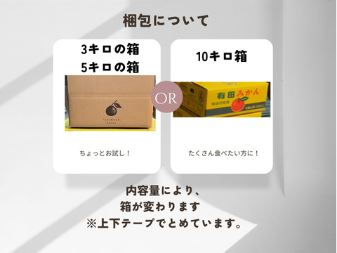 【完熟有田みかん】3キロSサイズ　家庭用　温州みかん　宮川早生　温州みかん　早生みかん　低農薬　【冬ギフト】