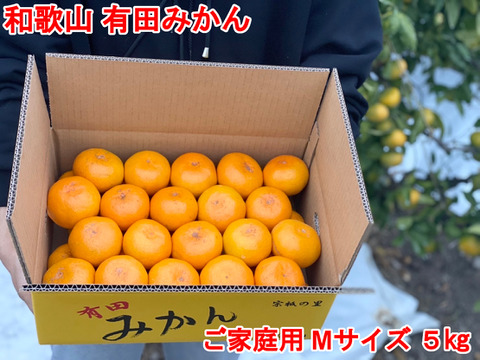 【ご家庭用・Mサイズ】和歌山有田産!早生みかん≪5㎏≫