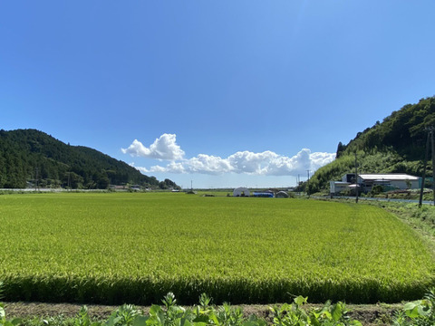 【令和6年産】強い甘みとコシ！『あかまのもち米』～みやこがねもち５kg～