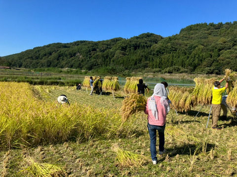 白州米 コシヒカリ『白米・無洗米・真空包装』20個セット