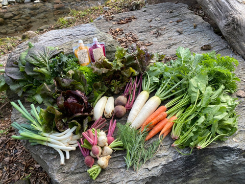 季節の無農薬野菜セット“2021冬”【6〜8品目】60（Ｍ）サイズ