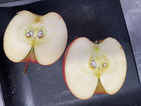 超大玉葉取らず樹上完熟サンふじ5k12-14家庭用訳あり　りんご　蜜入もあり！