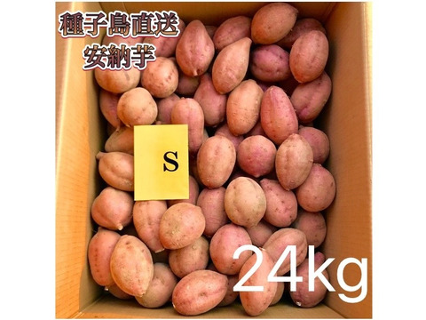 【絶品】aimo農園｜安納芋 Sサイズ 24kg(箱別)