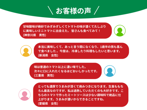 【12月発送】☆初めての方限定☆少量お試し☆超濃厚ミニトマト　400g　家庭用　
プチトマト