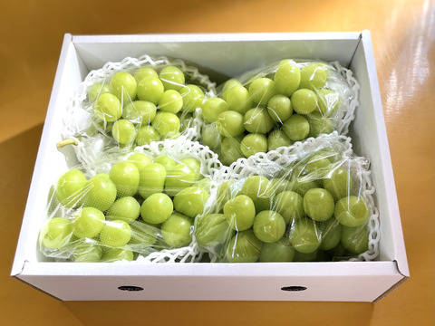 山梨県産　ぶどう　シャインマスカット 2kg　秀品　朝採り産地直送 秋ギフト】朝採りシャインマスカット2kg箱 3-4房（種無し・皮