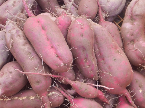 さつまいも5kg + 枝豆（枝付き）1kg  秋のお楽しみセット　　出荷予定9/20頃-10上旬