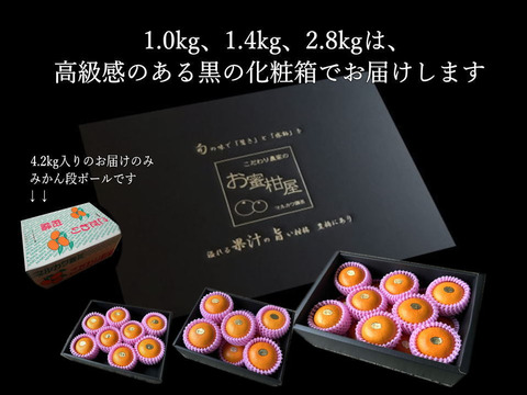 🏆みかん柑橘グランプリ2026最高金賞含む最多４部門受賞の木熟せとか！大感動！樹上完熟させた濃厚な甘みの大トロせとか！とろける甘さと上品な味わい！「木熟せとか」厳選プレミアム　約１ｋｇ【400】