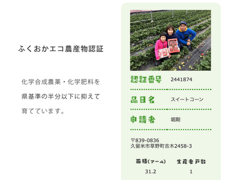 【父の日ギフト】朝採れとうもろこし10本＋1本｜ドルチェドリーム＆プレミアム味来