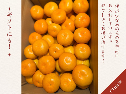 有田みかん　樹上完熟みかん　10キロ2Sサイズ ギフトにも！　【上野早生】　極早生みかん