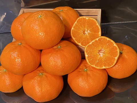 愛媛の甘平☆混合サイズ☆ご家庭用☆⒉5㎏