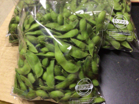 【規格外・加工用】◎自然栽培◎山形県鶴岡特産「茶豆えだまめ」2.5kg