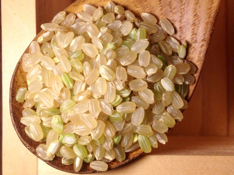 神土米 神のお米【神月】玄米 5kg 簡易梱包