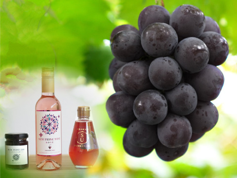 花笑み農園　ニューピオーネと加工品セット（ピオーネジャム＆飲む酢＆ピオーネワイン）【9/7～順次発送】P-JWN