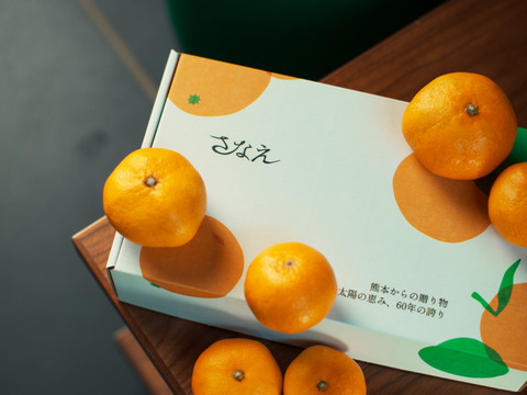 【贈答用にも】ギフトにピッタリ！さなえみかん 1kg（10個程度）