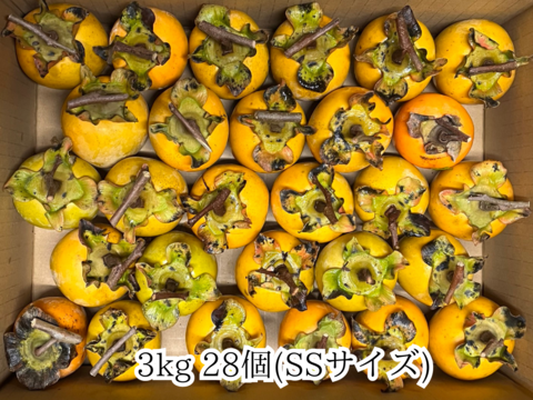 干し柿用 愛宕柿(あたご柿) 5kg