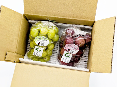 完熟つぶつぶクイーンニーナ／シャインマスカット各400g×2袋（合計800g）※信州の環境にやさしい農産物（長野県認証）