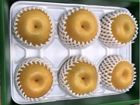 大豊作300円引き‼️【PREMIUM豊水梨】贈答用3kg(5~7個) これ以上の豊水は無い‼️と自信を持ってお届け😋 ひとつひとつ色付きを確かめ樹上完熟で収穫‼️コロコロの豊水は、ほぼほぼ果汁です💦