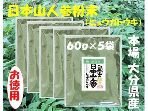 お徳用　日本山人参粉末（ヒュウガトウキ）６０ｇ×５袋　栽培期間中は農薬・化学肥料不使用、本場大分県産　品質に自信あり