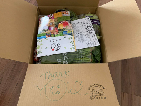 【お歳暮対応可能】採りたては最高のスパイス！畑感じる野菜Cセット！（12品）【本州の方限定】