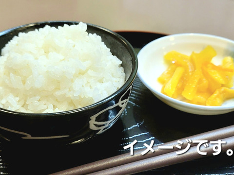 【先行予約】令和７年『コシヒカリ新米』5Kg×２袋 合計10Kg 標準精米