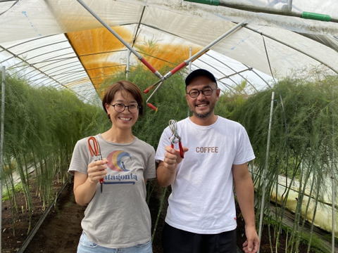 夏芽🏖️朝穫りアスパラガス💫収穫したその日に発送( Lサイズ ・1kg )