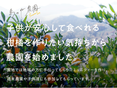島のね せとか【愛媛せとか/木成り完熟せとか/3kg】