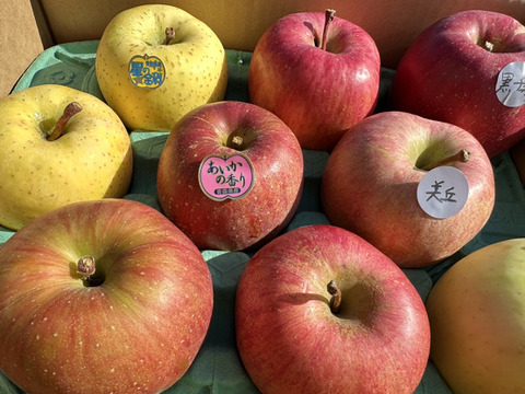 冷蔵発送！何が入るかお楽しみ！そのまんまりんご＋「わくわくりんご箱」約3kg箱　9〜11玉 食べ比べセット！