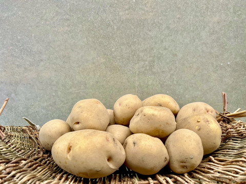 今が旬！淡路島 じゃがいも詰め合わせ